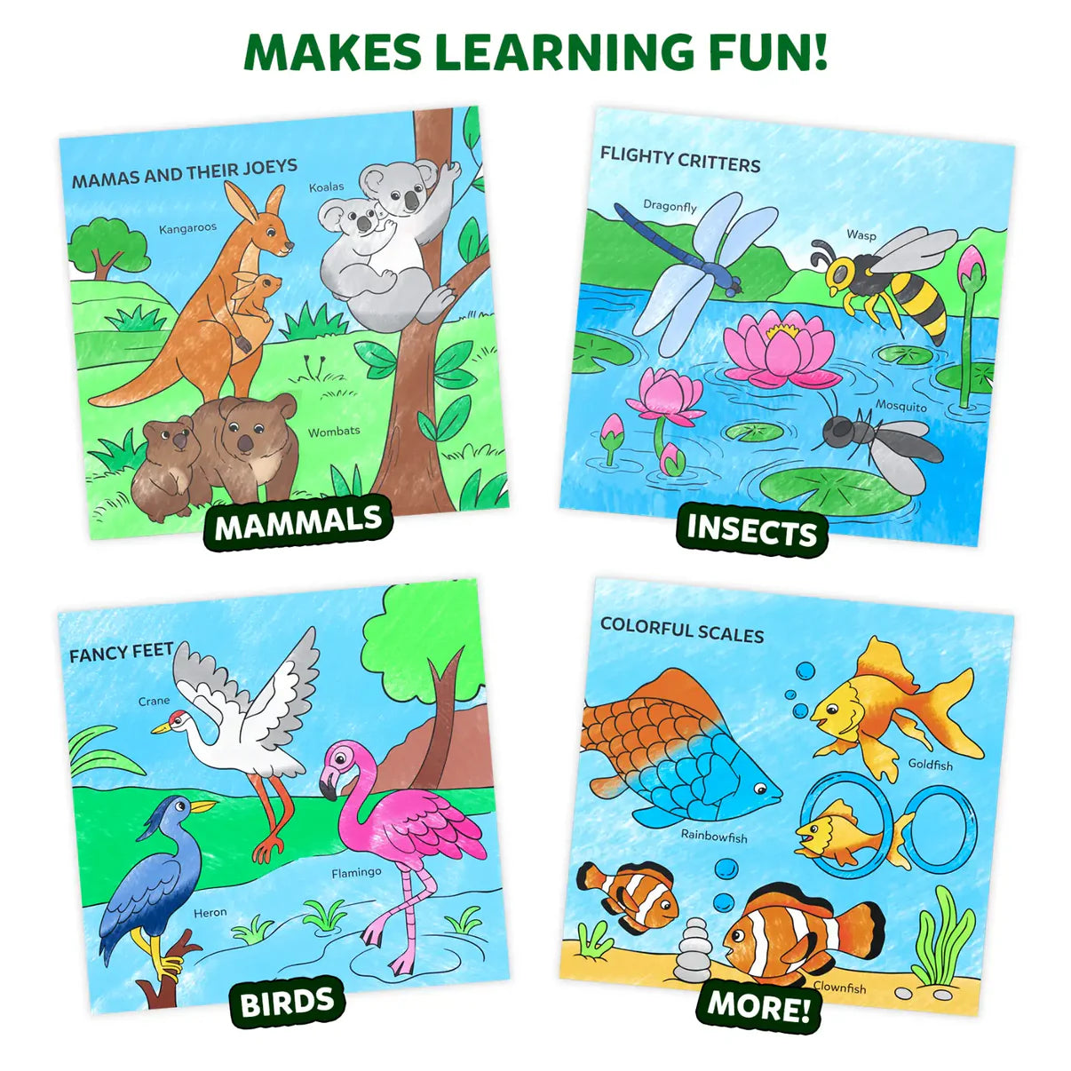 Color And Learn Animals