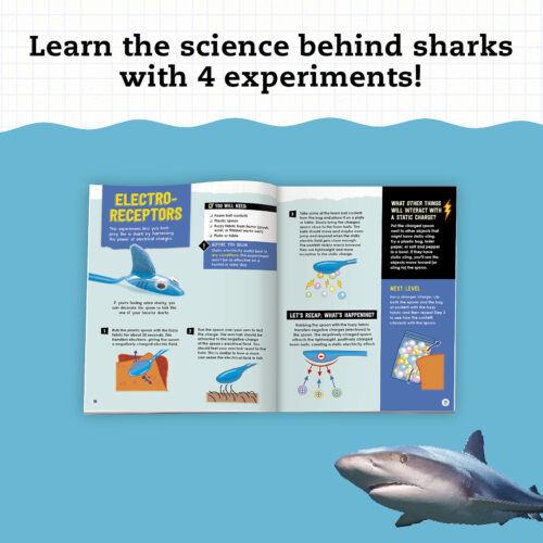 STEAM Lab: Shark-tastic Teeth!