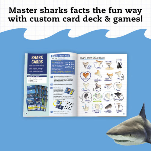 STEAM Lab: Shark-tastic Teeth!