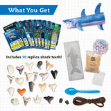 STEAM Lab: Shark-tastic Teeth!