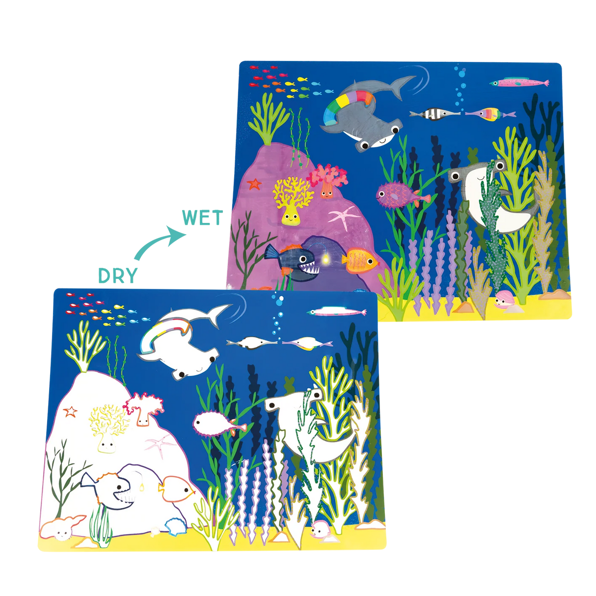 Magic Water Placemats Ocean