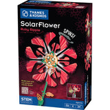 Solarflower Ruby Ripple Thames & Kosmos