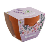 Classic Lavender Terra Cotta