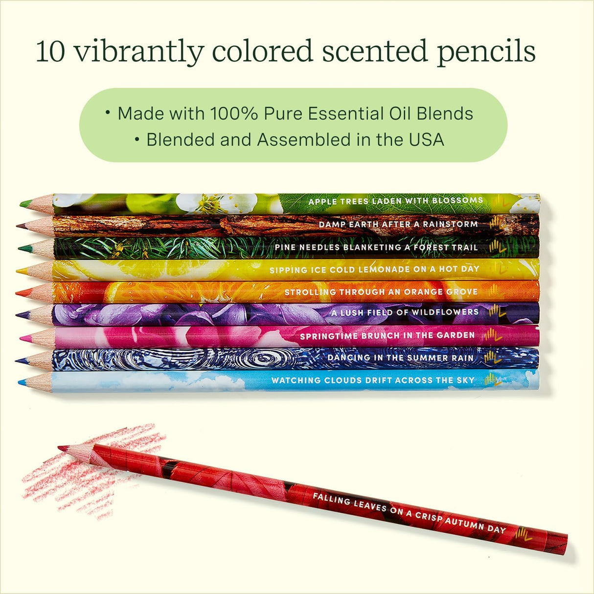 Lifelines Rub & Sniff Color Pencils 10 pack