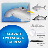 Shark Dig Kit Natural Geographic