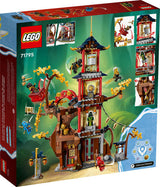 LEGO® NINJAGO® Temple of the Dragon Energy Cores