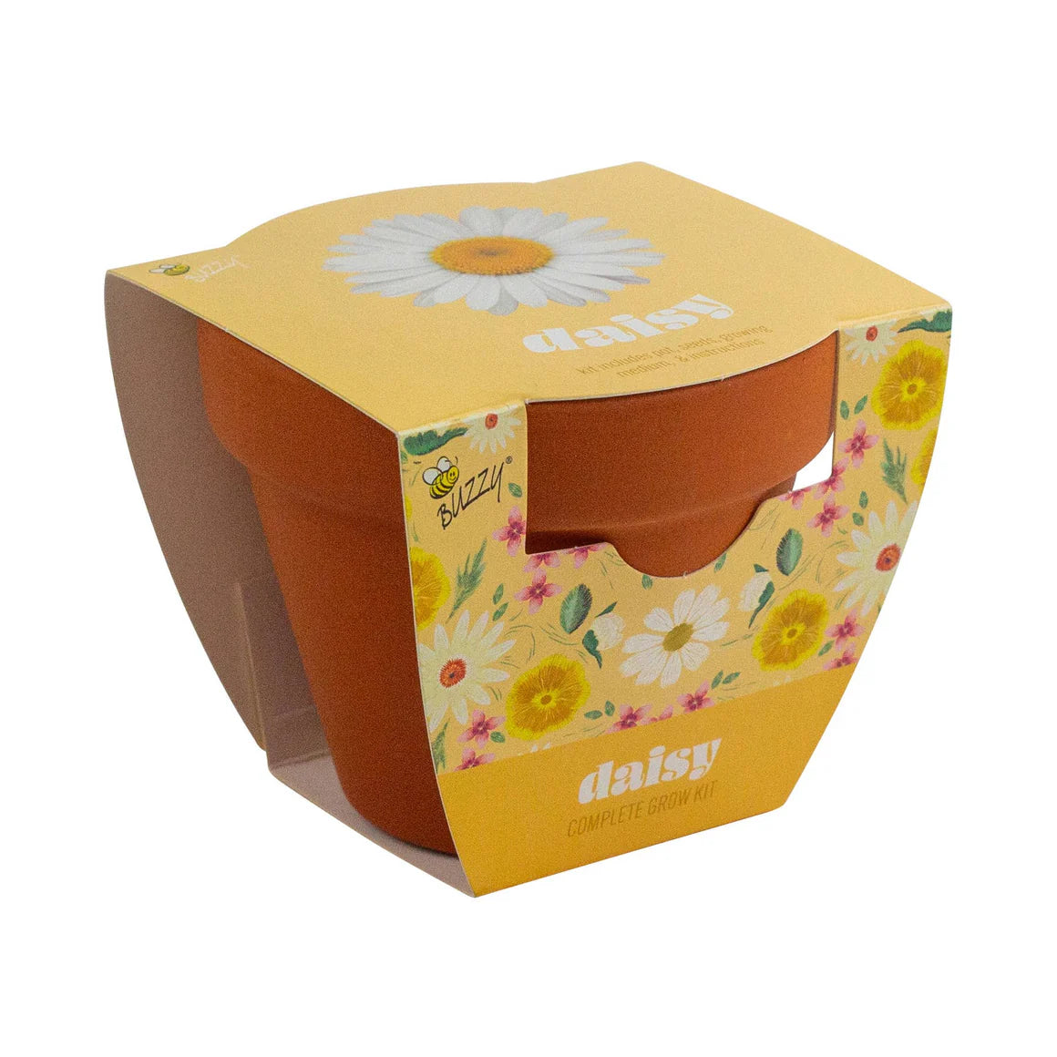 Classic Daisy Terra Cotta