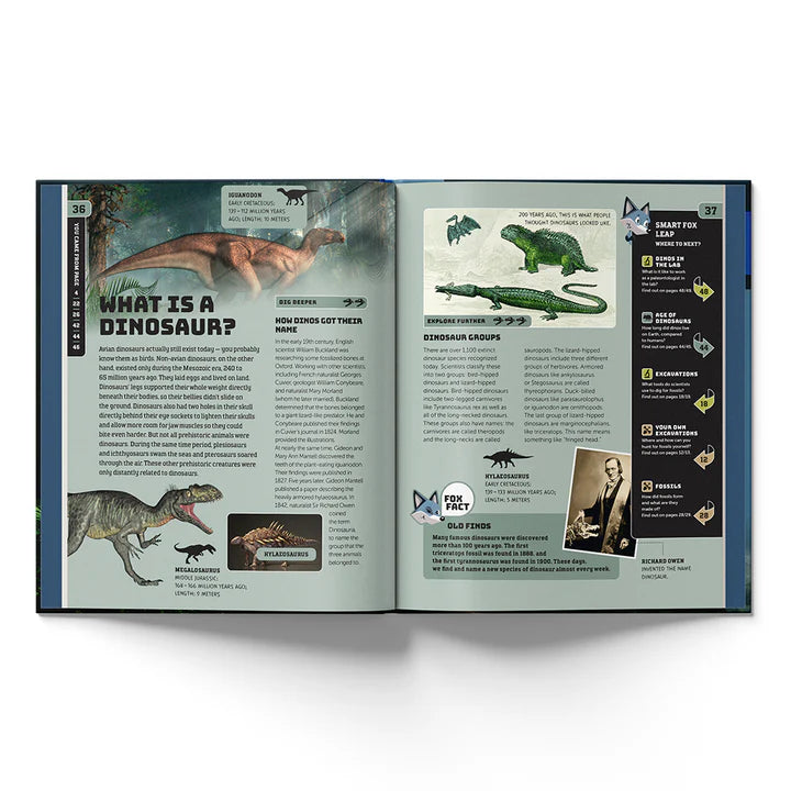 Dinosaurs Smart Fox