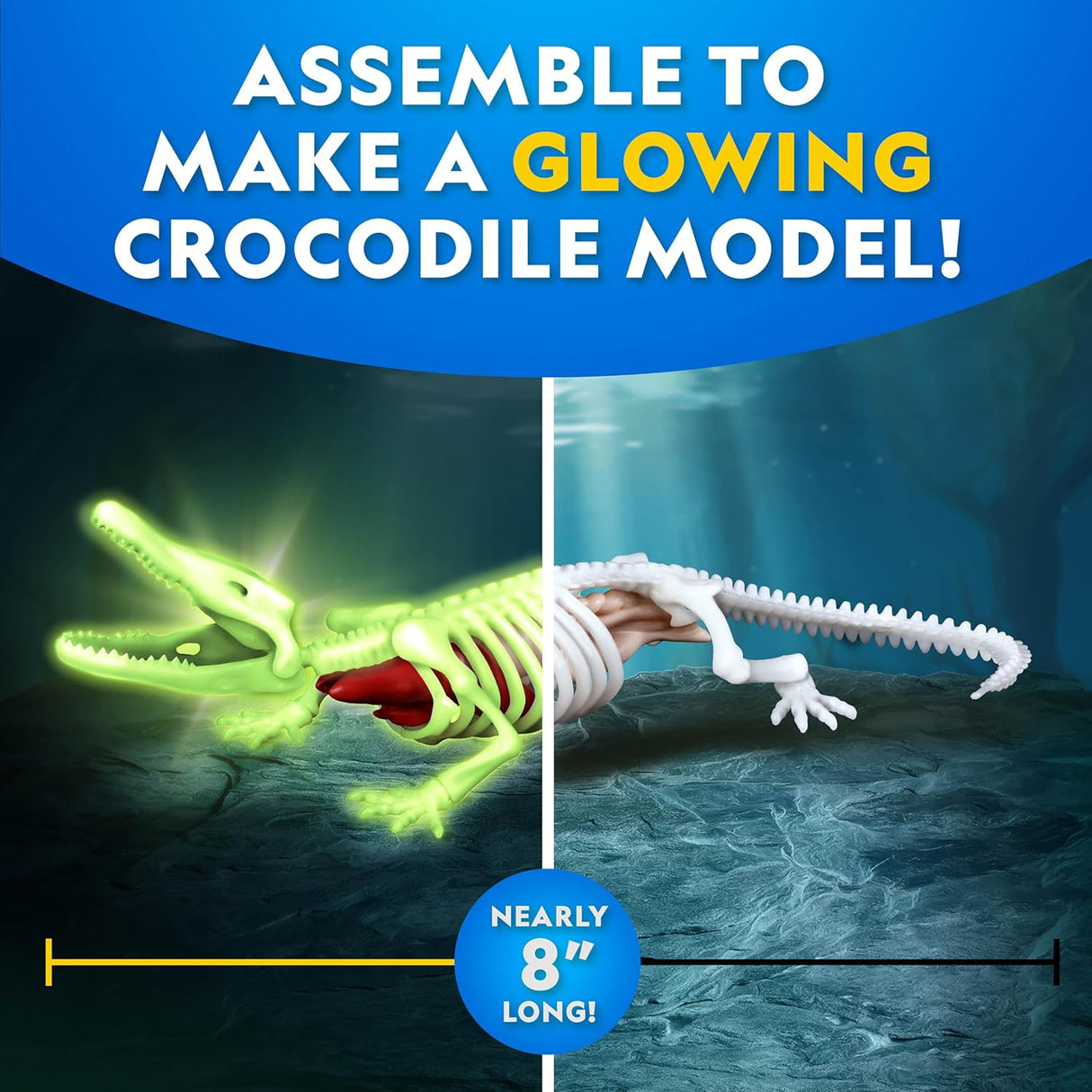 Crocodile Dissection Lab Glow In The Dark