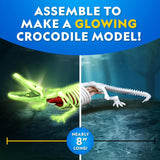 Crocodile Dissection Lab Glow In The Dark