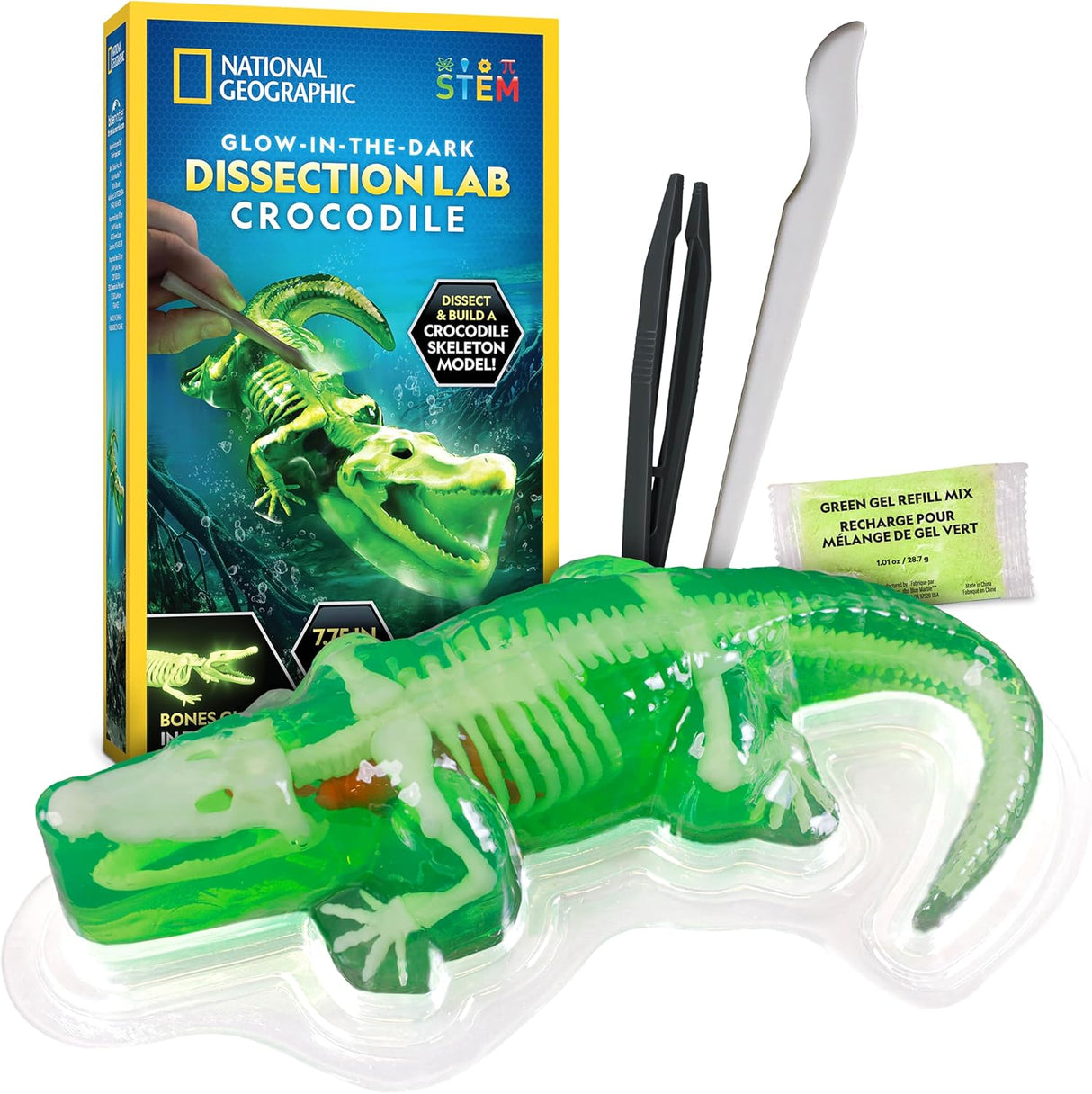Crocodile Dissection Lab Glow In The Dark