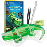 Crocodile Dissection Lab Glow In The Dark