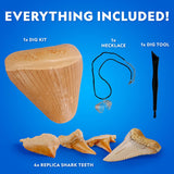 Shark Tooth Dig Kit