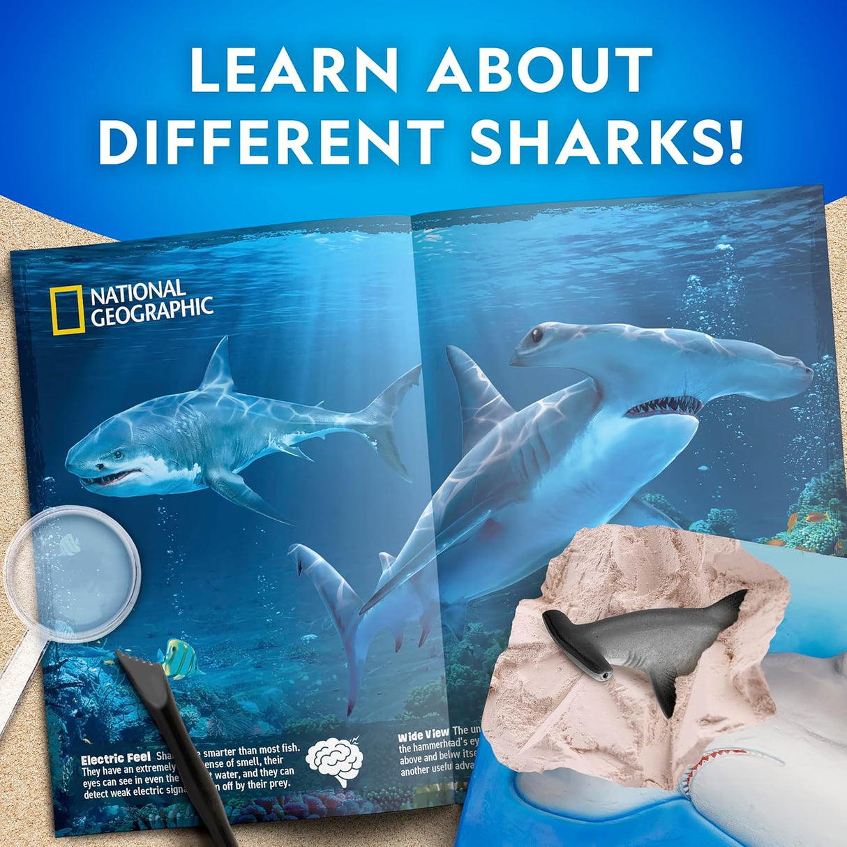 Shark Dig Kit Natural Geographic