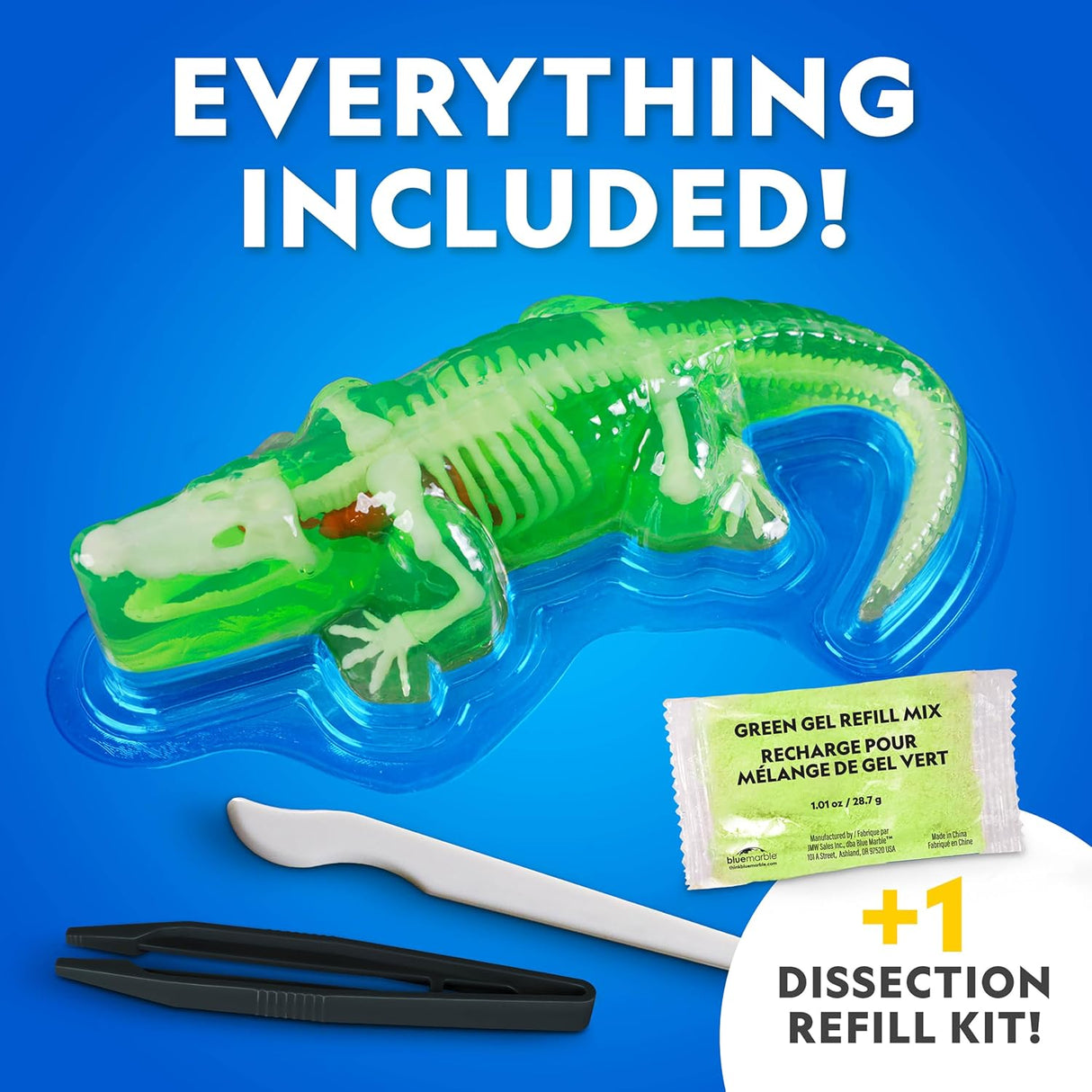 Crocodile Dissection Lab Glow In The Dark
