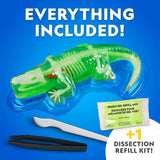 Crocodile Dissection Lab Glow In The Dark