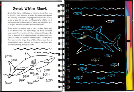 Scratch & Sketch Sharks