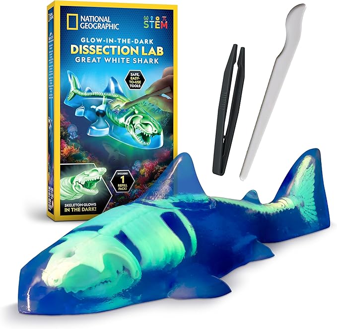 Glow-in-the-dark Great White Shark Dissection Lab