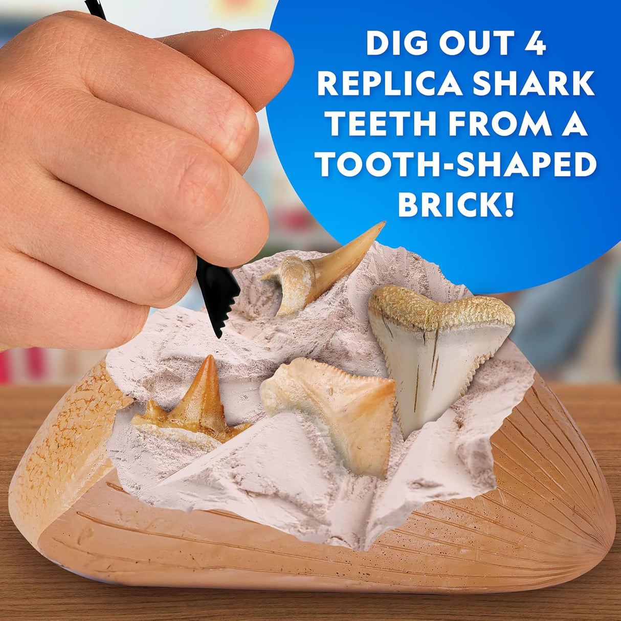 Shark Tooth Dig Kit