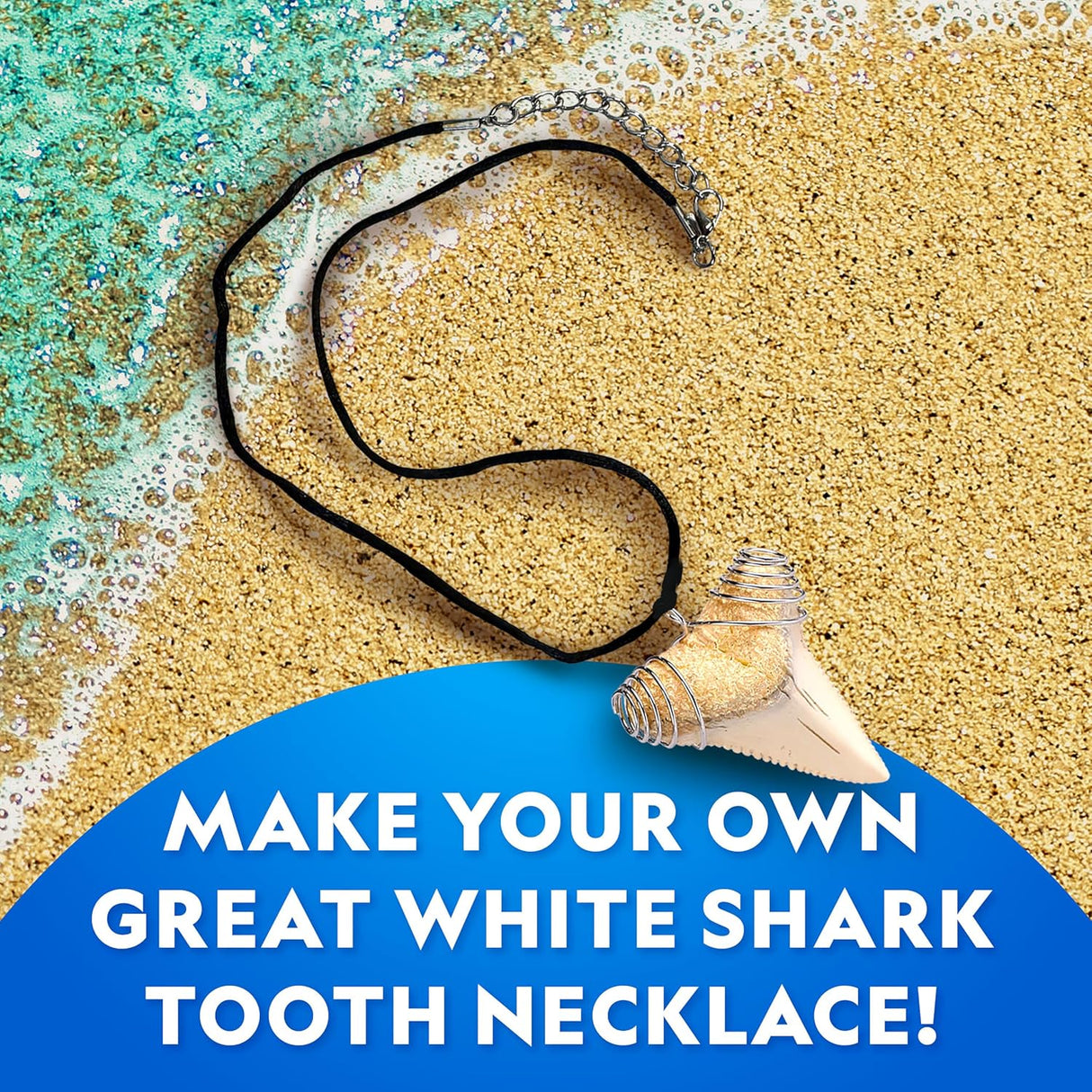 Shark Tooth Dig Kit