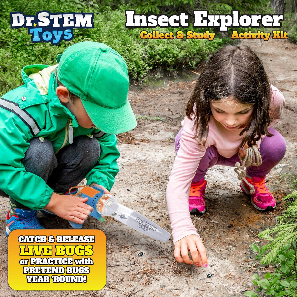 Insect Explorer
