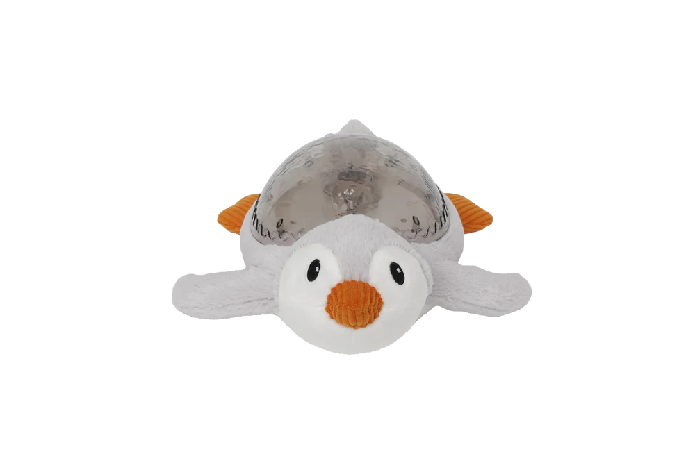 Tranquil Penguin