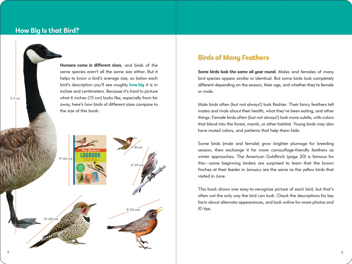 The Birder's Logbook