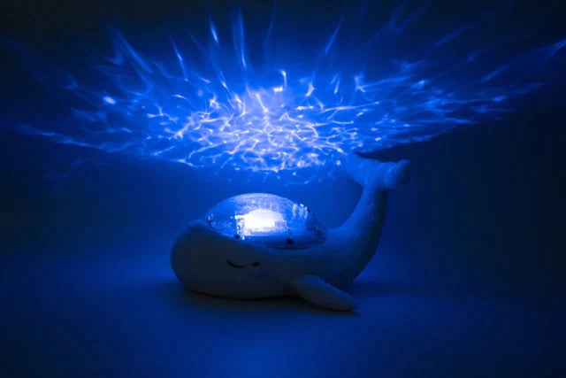Tranquil Whale™ Family - Blue