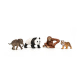 Wild Life Asia Starter Kit