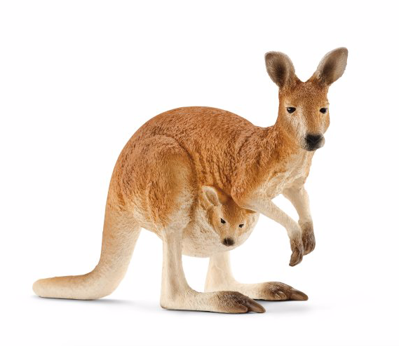 Kangaroo