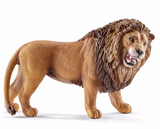 Lion, roaring