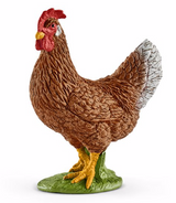 Hen