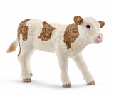 Simmental calf