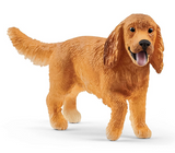 English Cocker Spaniel