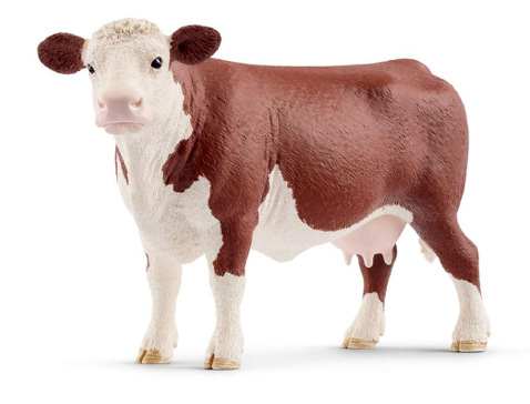 Hereford Cow