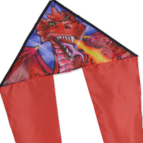 Dragon Zippy Flotail Kite