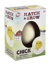 Chick Mini Hatch N Grow