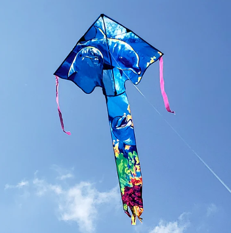 Dolphin - Large Easy Flyer Kite