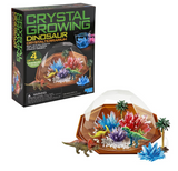 Cystal Growing Dinosaur Kit