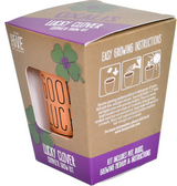 Lucky Clover Grow Kit