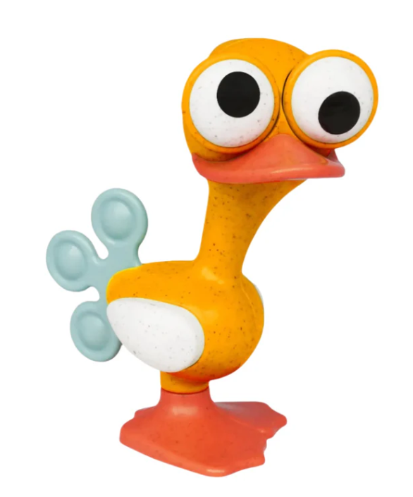 Crazy Eyed Bird
