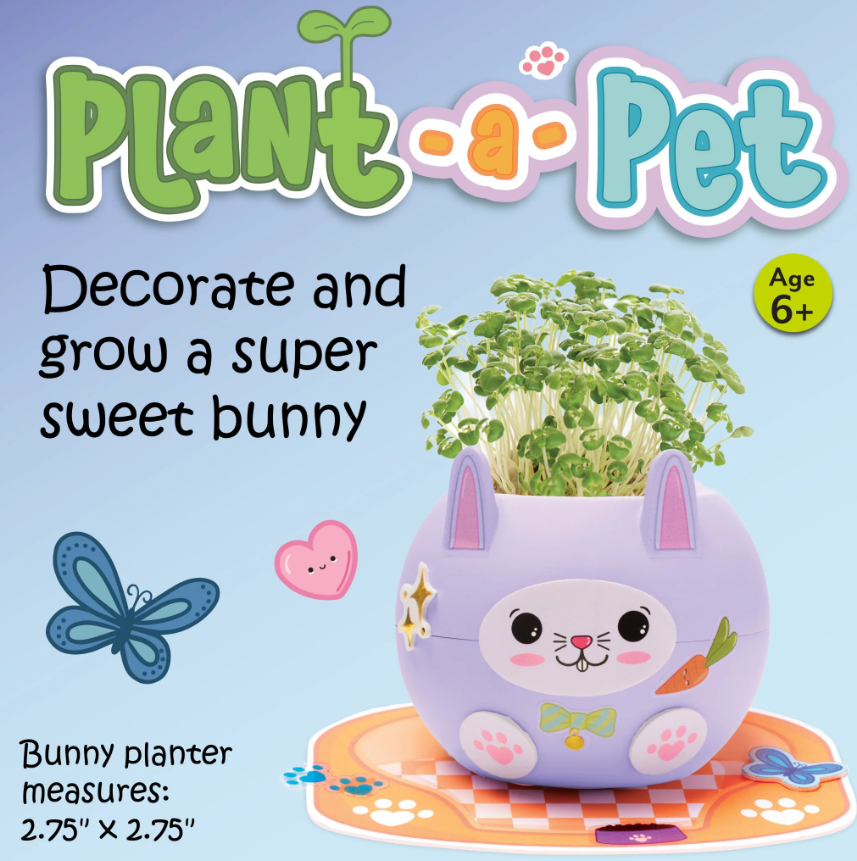 Bunny Plant A Pet