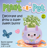 Bunny Plant A Pet