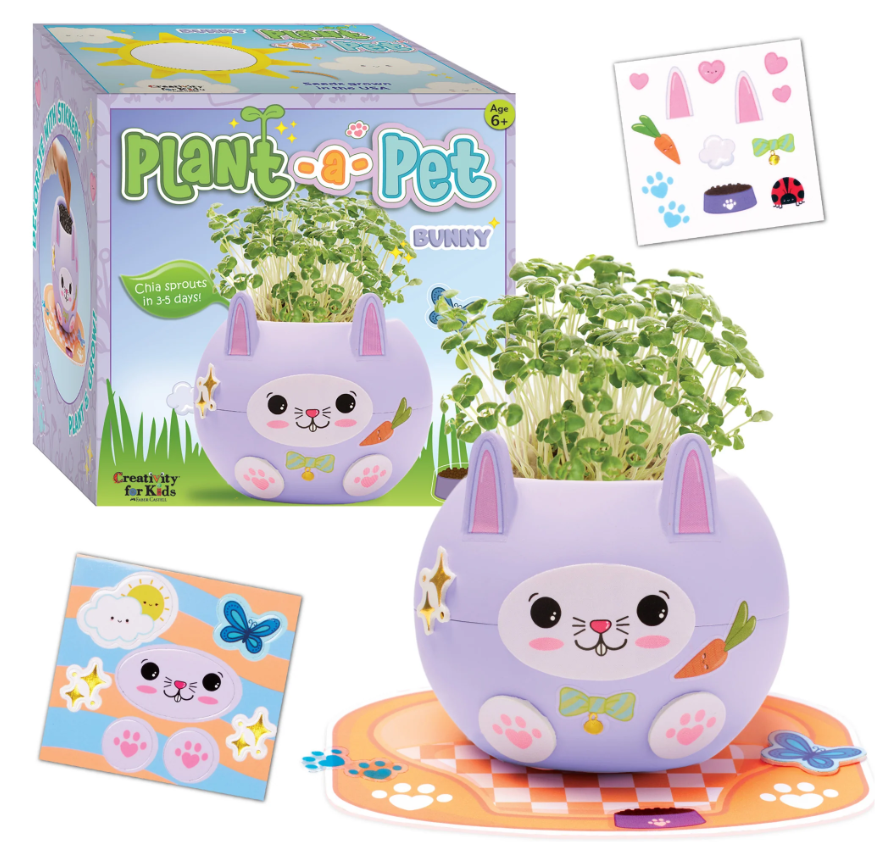 Bunny Plant A Pet