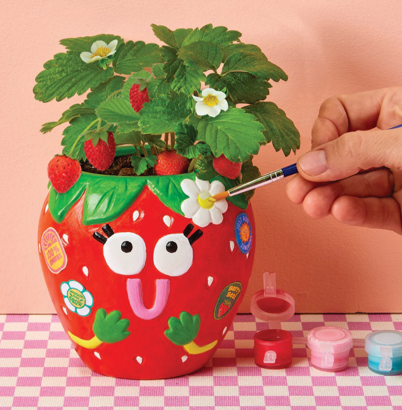Paint & Grow Berry Sweet with Strawberry seeds