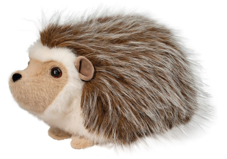 Bristle Hedgehog