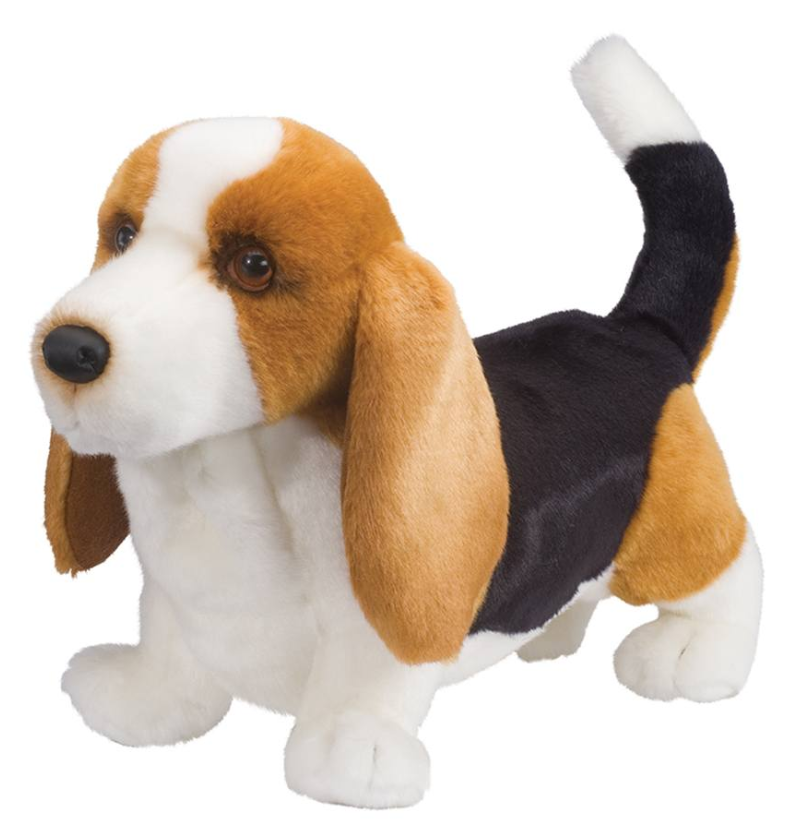 Harold Basset Hound