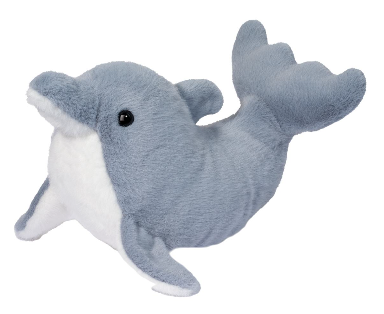 Dinghy Dolphin