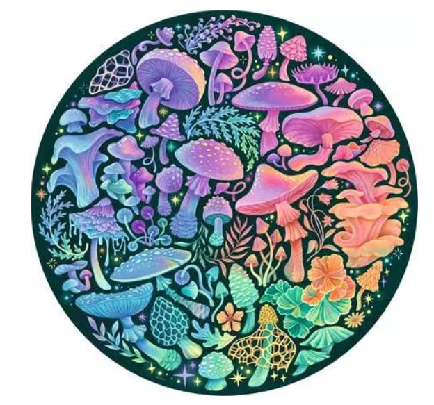 500 pc Mushrooms Round Puzzle