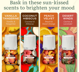 Clickwick Sun-Kissed Escape Collection 4-pack